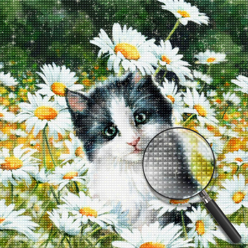 Black and White Cat with Marguerites Diamond Painting