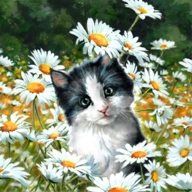 Black and White Cat with Marguerites Diamond Painting