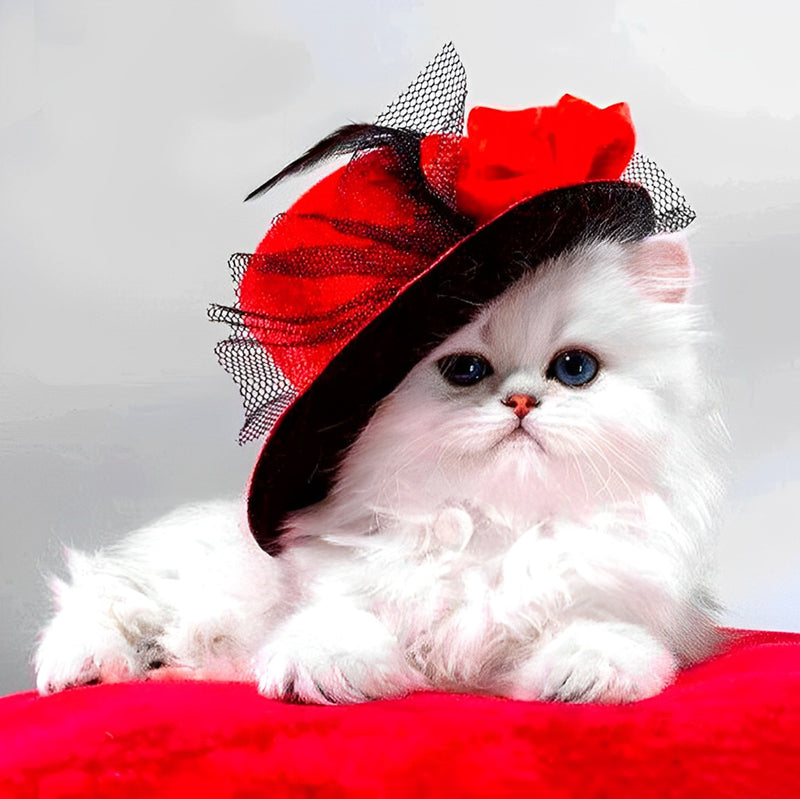 Lady White Cat in Red Hat 5D DIY Diamond Painting Kits