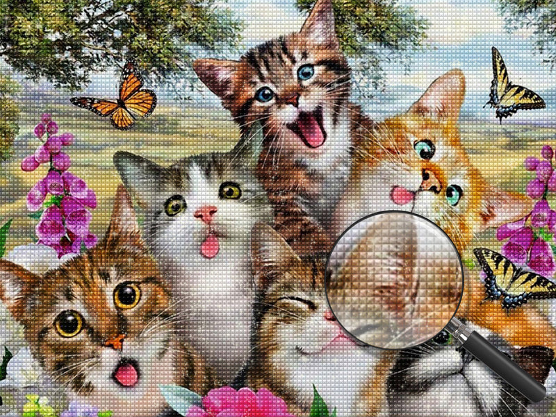 Funny Selfies of Cats 5D DIY Diamond Painting Kits