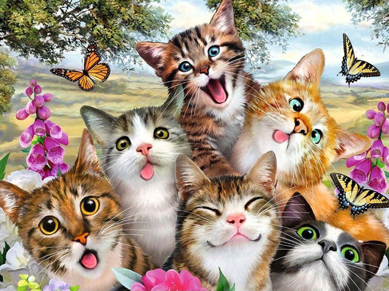 Funny Selfies of Cats 5D DIY Diamond Painting Kits