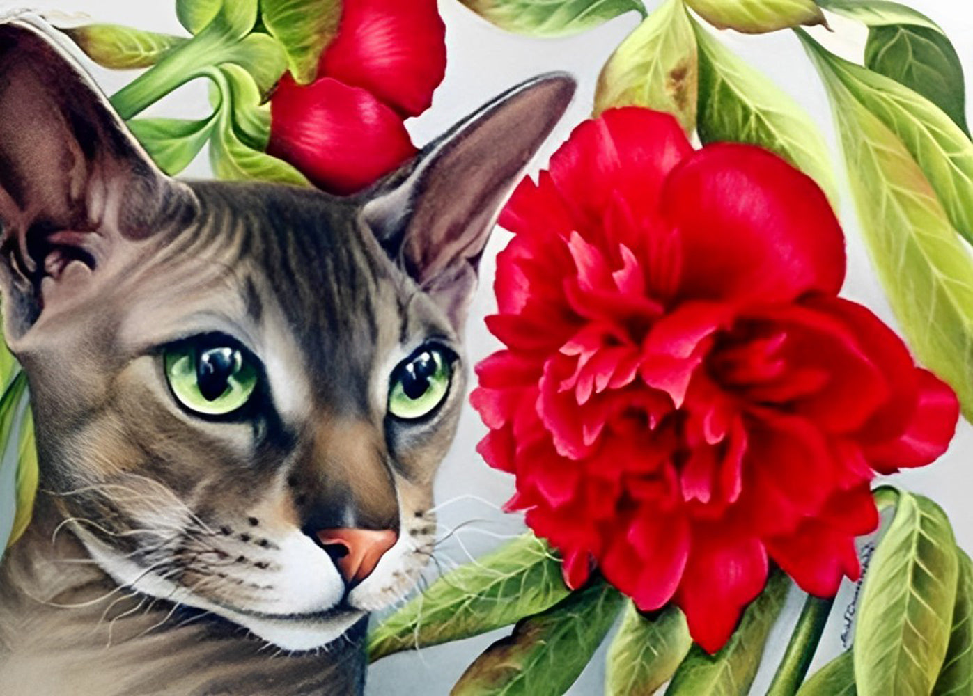 Elegant Cat and Red Flower Diamond Painting