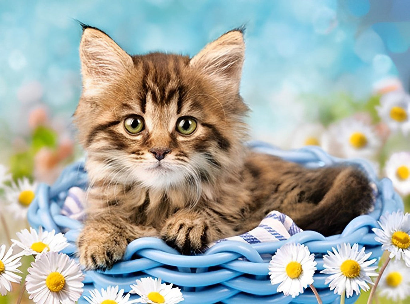 Cat in Blue Basket Diamond Painting