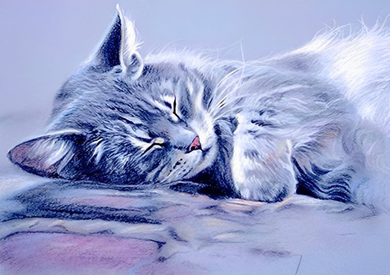 Sleeping Cat 5D DIY Diamond Painting Kits