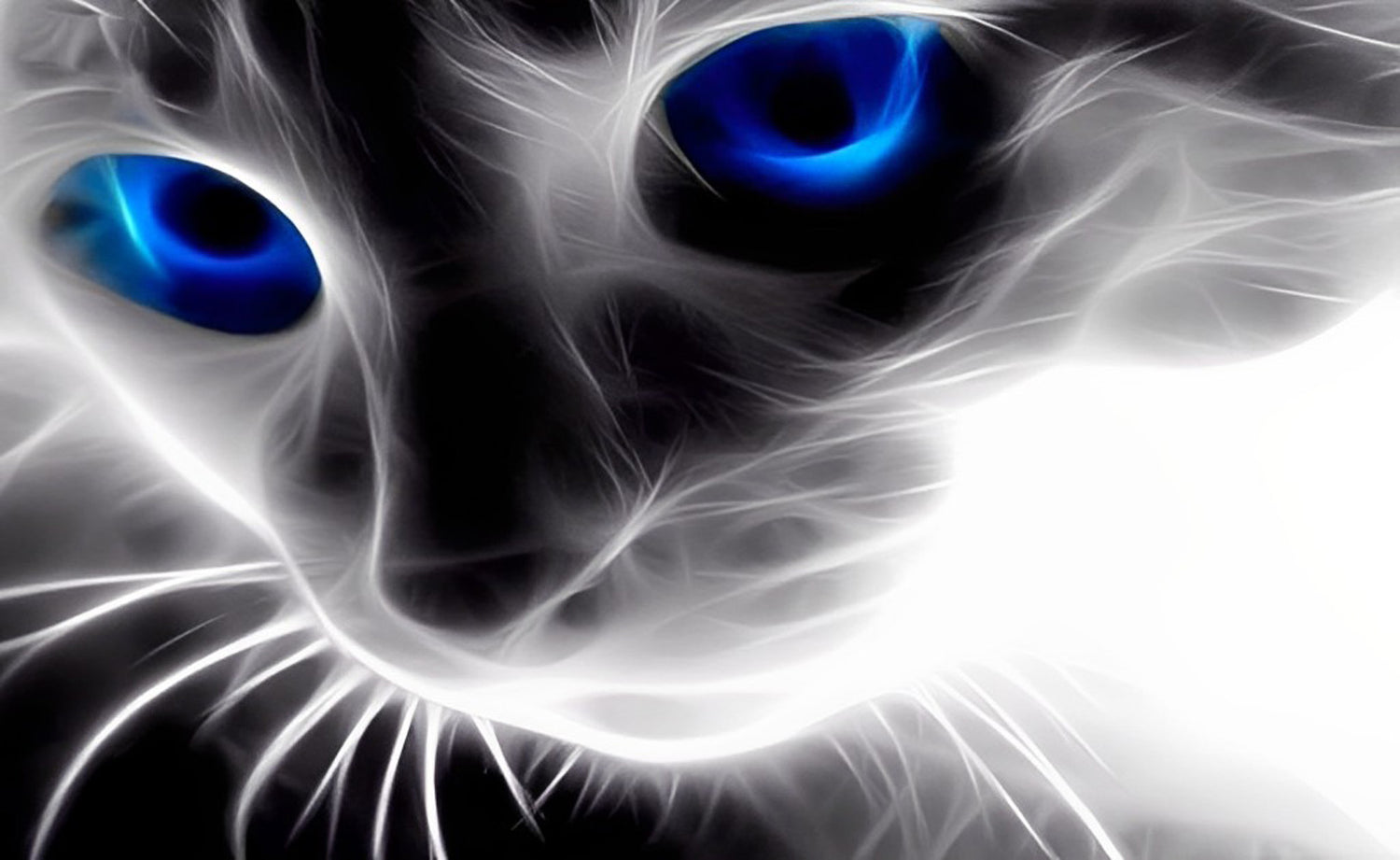 Gray Cat with Blue Eyes Diamond Painting