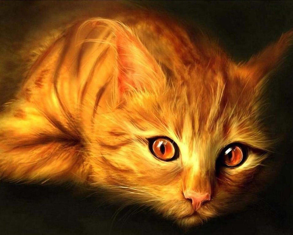 Cat with Red Eyes Diamond Painting