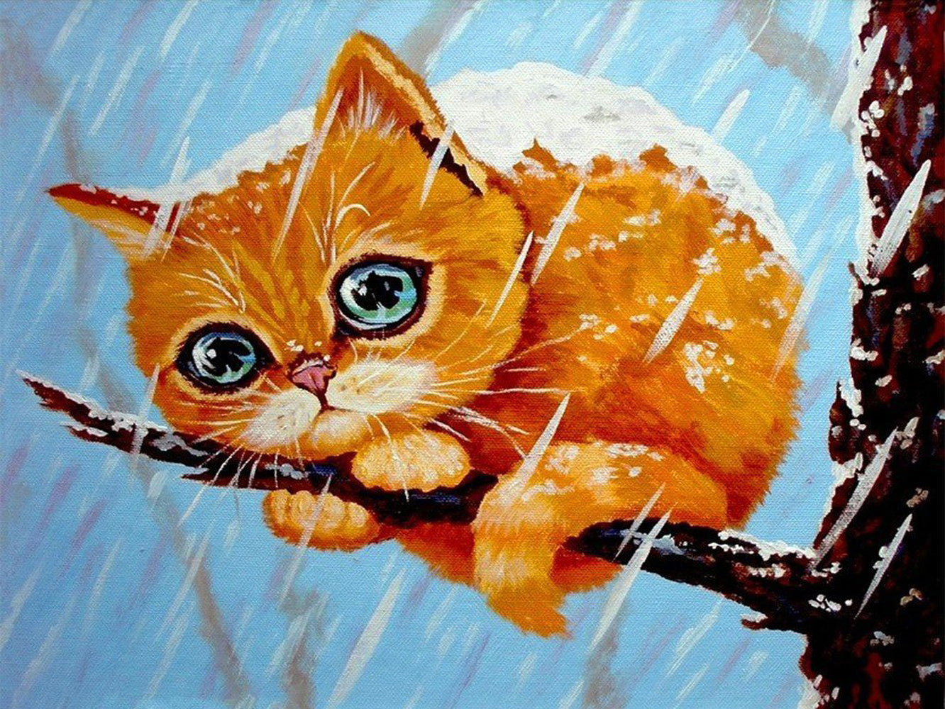Poor Cat in Snow Diamond Painting