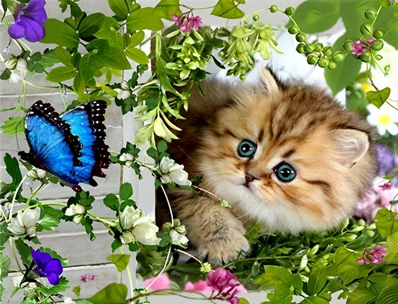 Cute Cat Diamond Painting