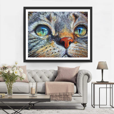 Cat with beautiful eyes Diamond Painting