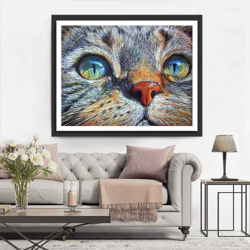 Cat with beautiful eyes Diamond Painting