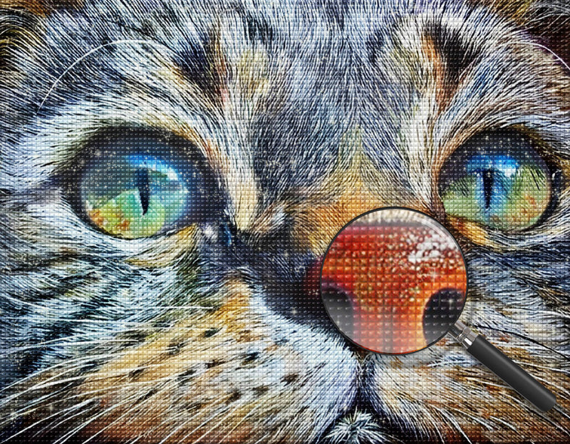 Cat with beautiful eyes Diamond Painting