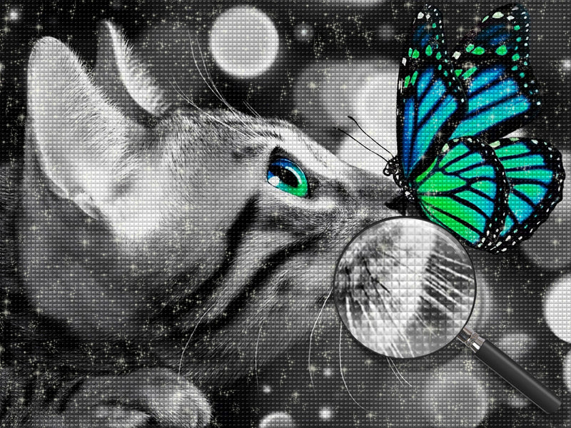 American Shorthair and Blue Butterfly Diamond Painting