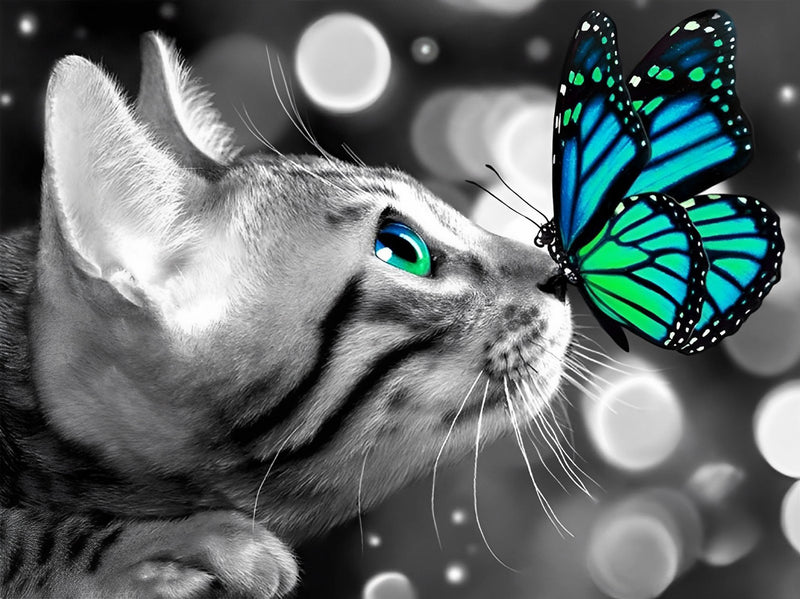 American Shorthair and Blue Butterfly 5D DIY Diamond Painting Kits