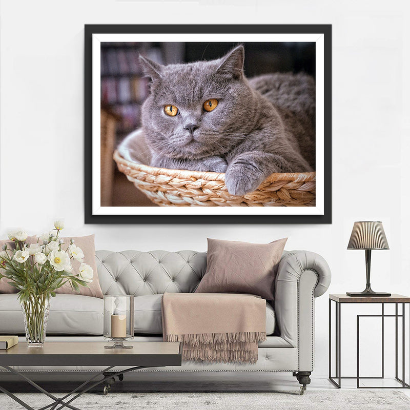 Blue British Shorthair Cat Diamond Painting