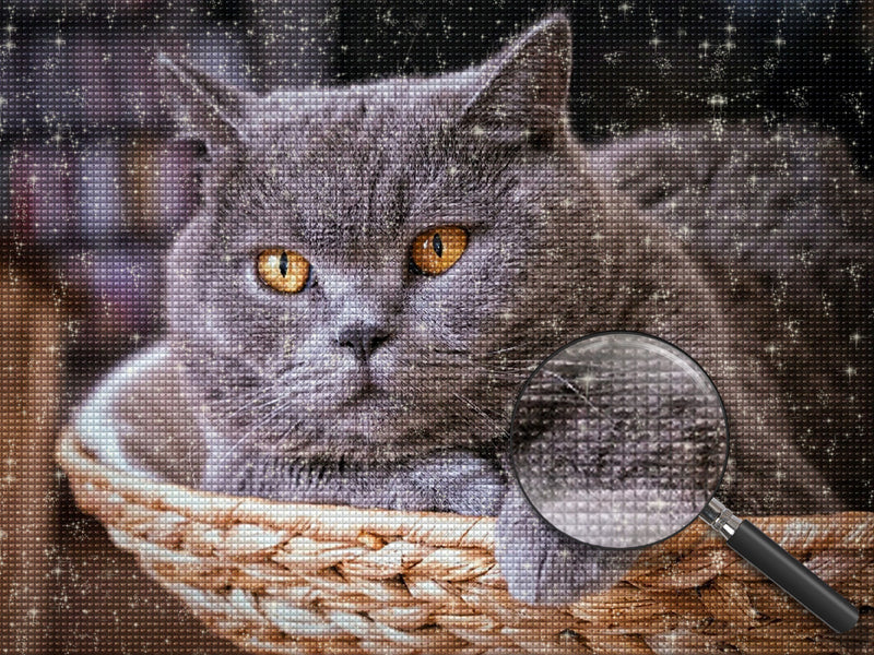 Blue British Shorthair Cat Diamond Painting