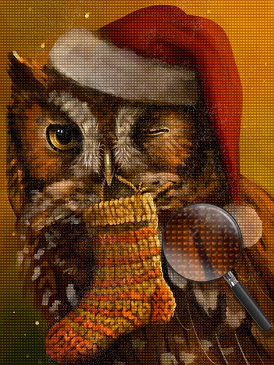 Owl with a sock Diamond Painting