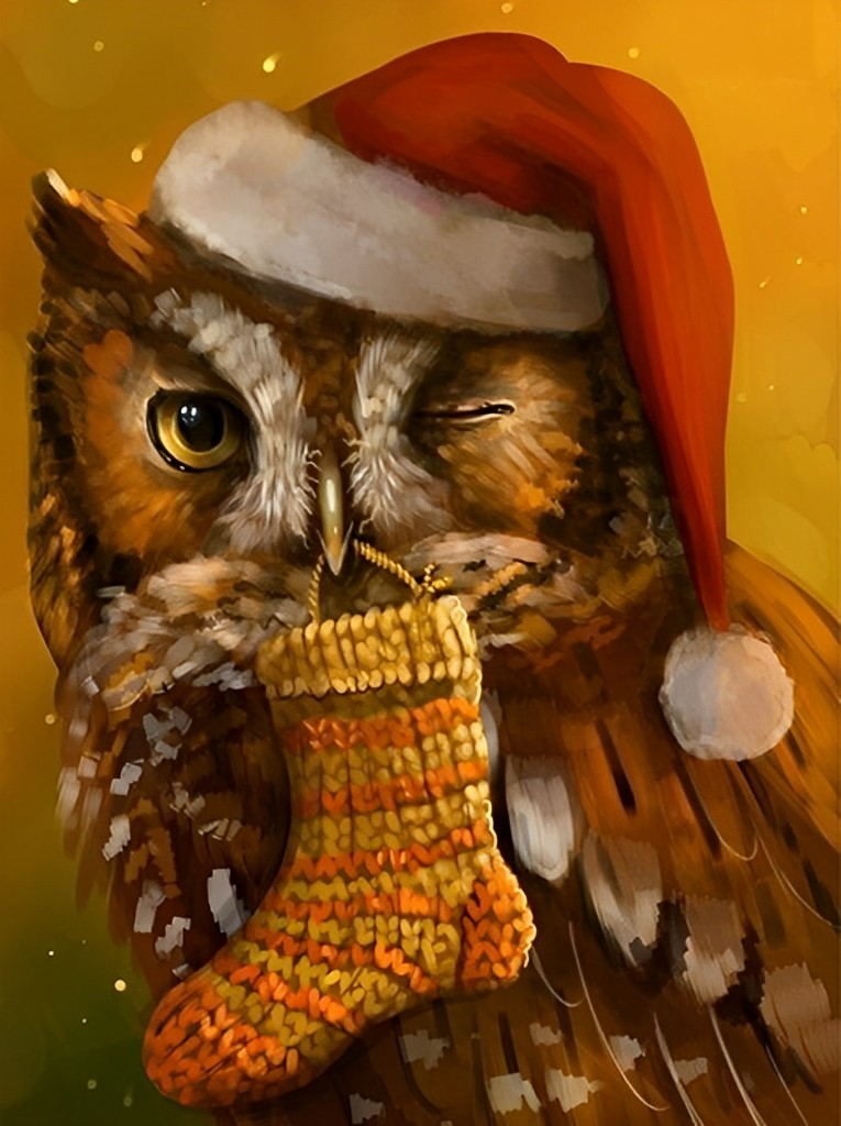 Owl with a Sock Diamond Painting