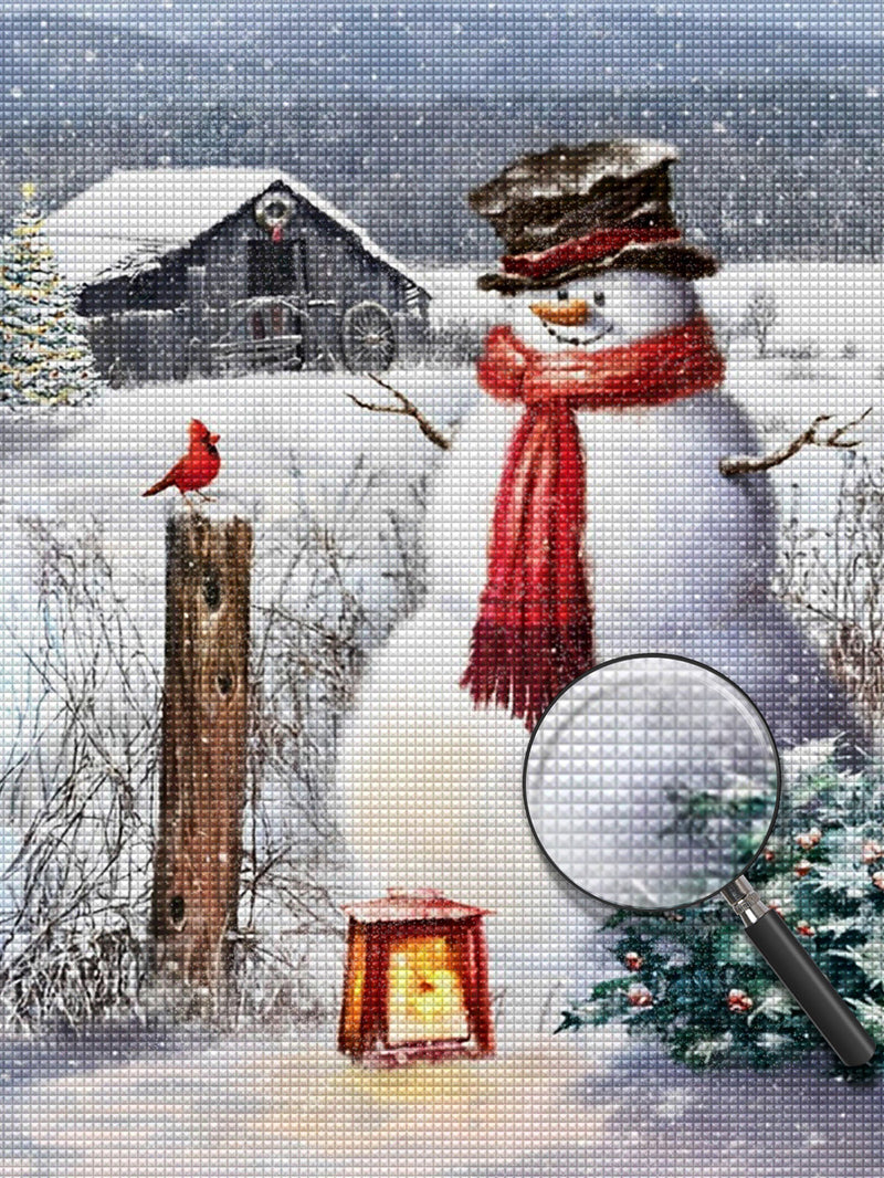 Snowman and bird Diamond Painting