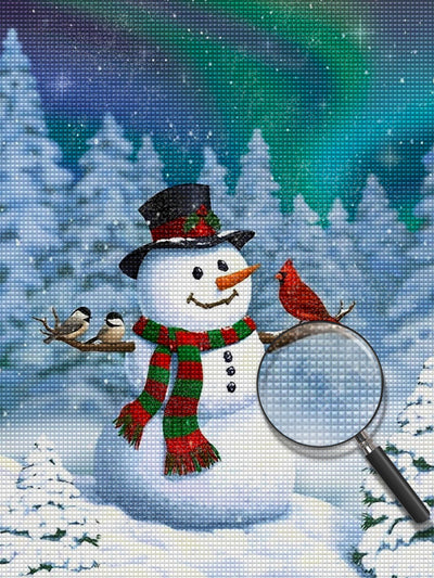 Snowman birds and auroras Diamond Painting