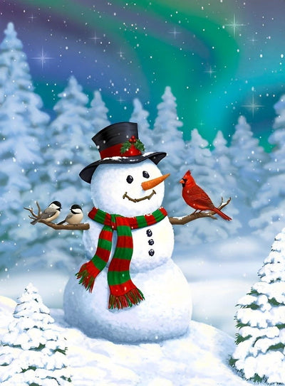 Snowman birds and auroras Diamond Painting