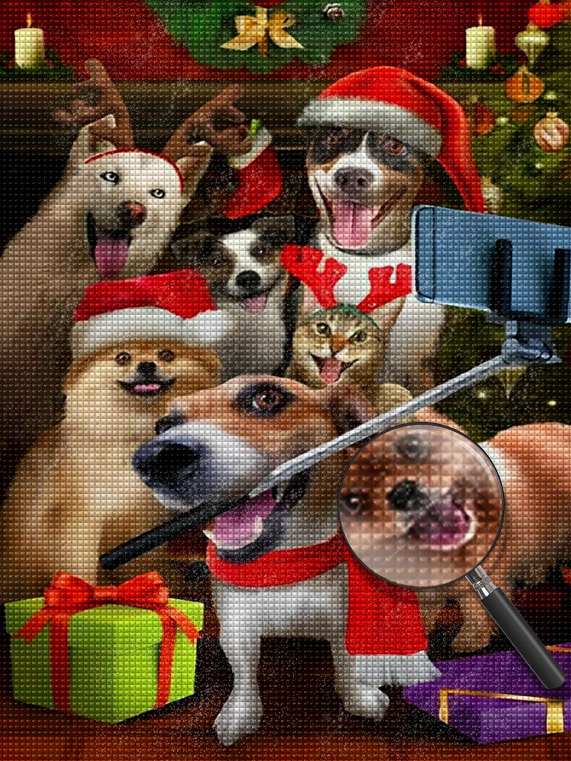 Christmas 5D DIY Diamond Painting Kits DPCHRH1318