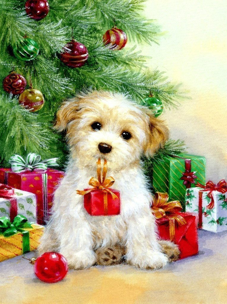 Curly Christmas Puppy Carrying a Gift Diamond Painting