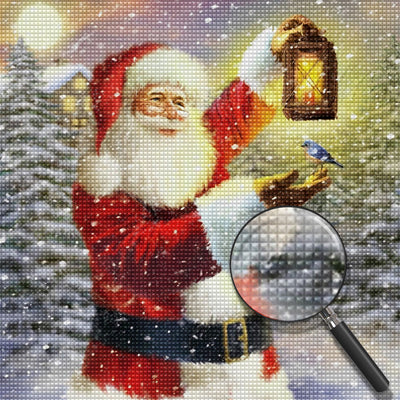 Christmas Santa and Bird Diamond Painting