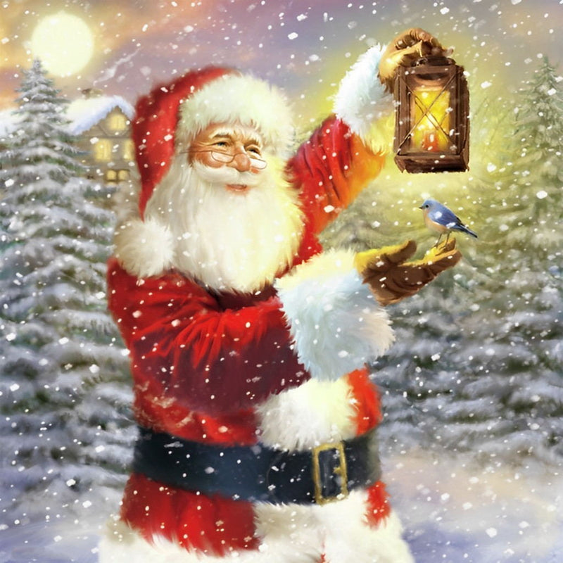 Christmas Santa and Bird Diamond Painting