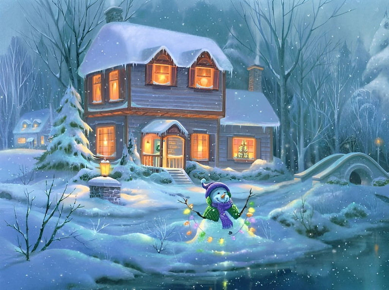 Winter bright night Christmas Diamond Painting