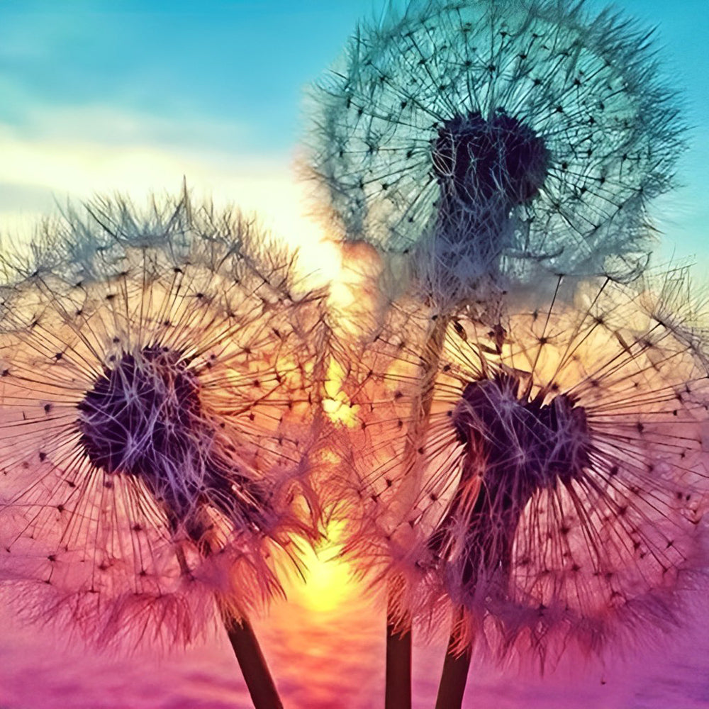 Dandelions and the Sun Diamond Painting