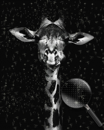 Black and White Giraffe Diamond Painting