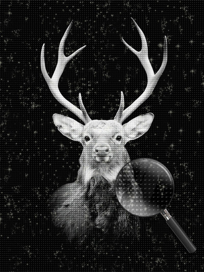 Huge White and Black Deer 5D DIY Diamond Painting Kits