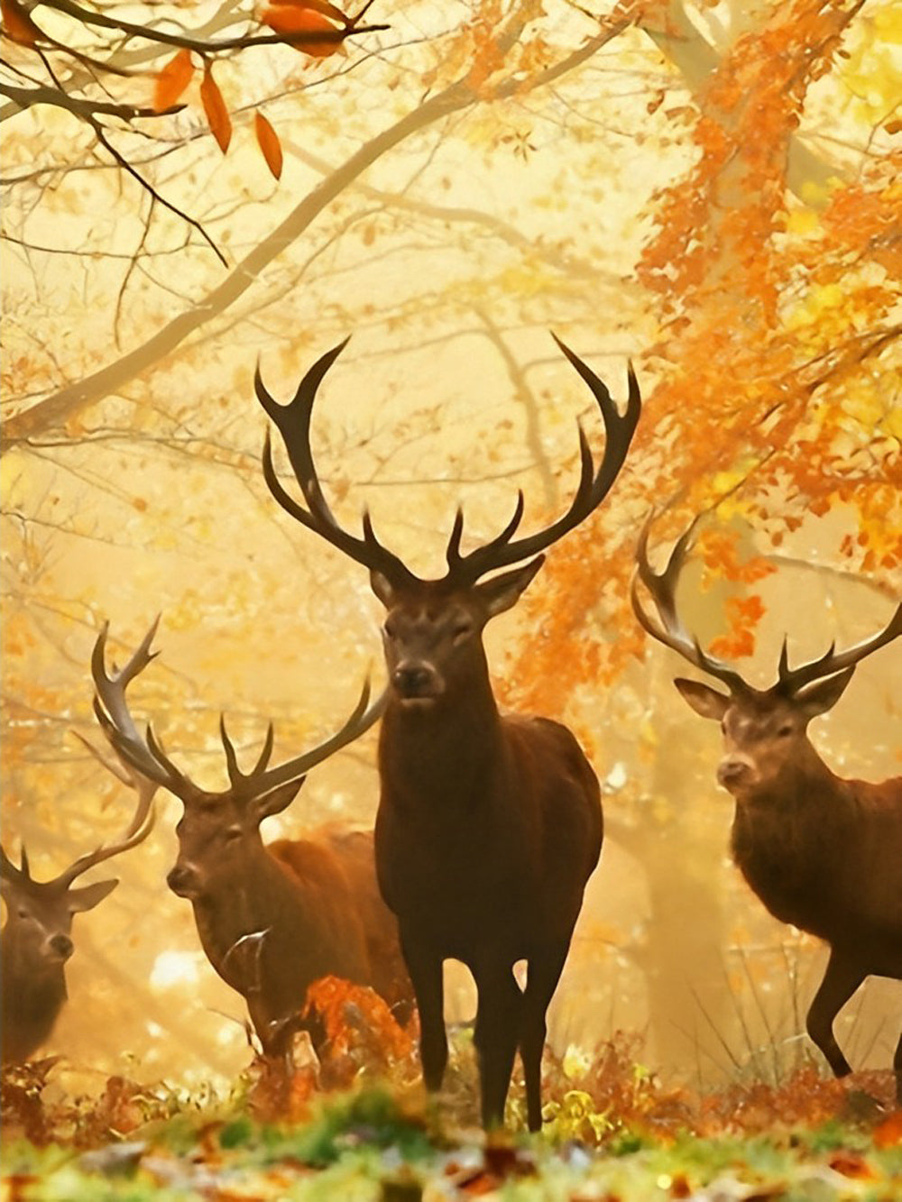 Four Deer and Red Leaves Diamond Painting