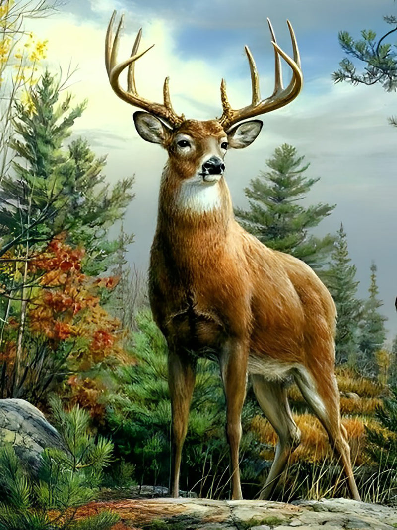 Deer in the Woods Diamond Painting