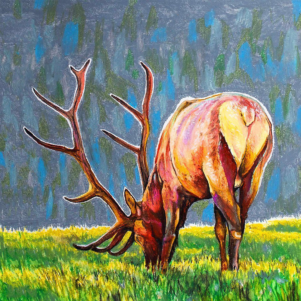 Deer on Pasture Diamond Painting