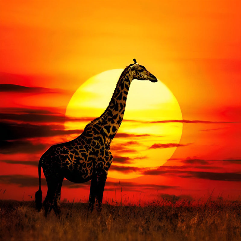 Girafe and Sunset Diamond Painting