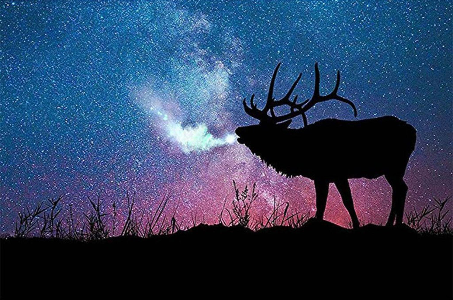 Moose and Starry Night Diamond Painting