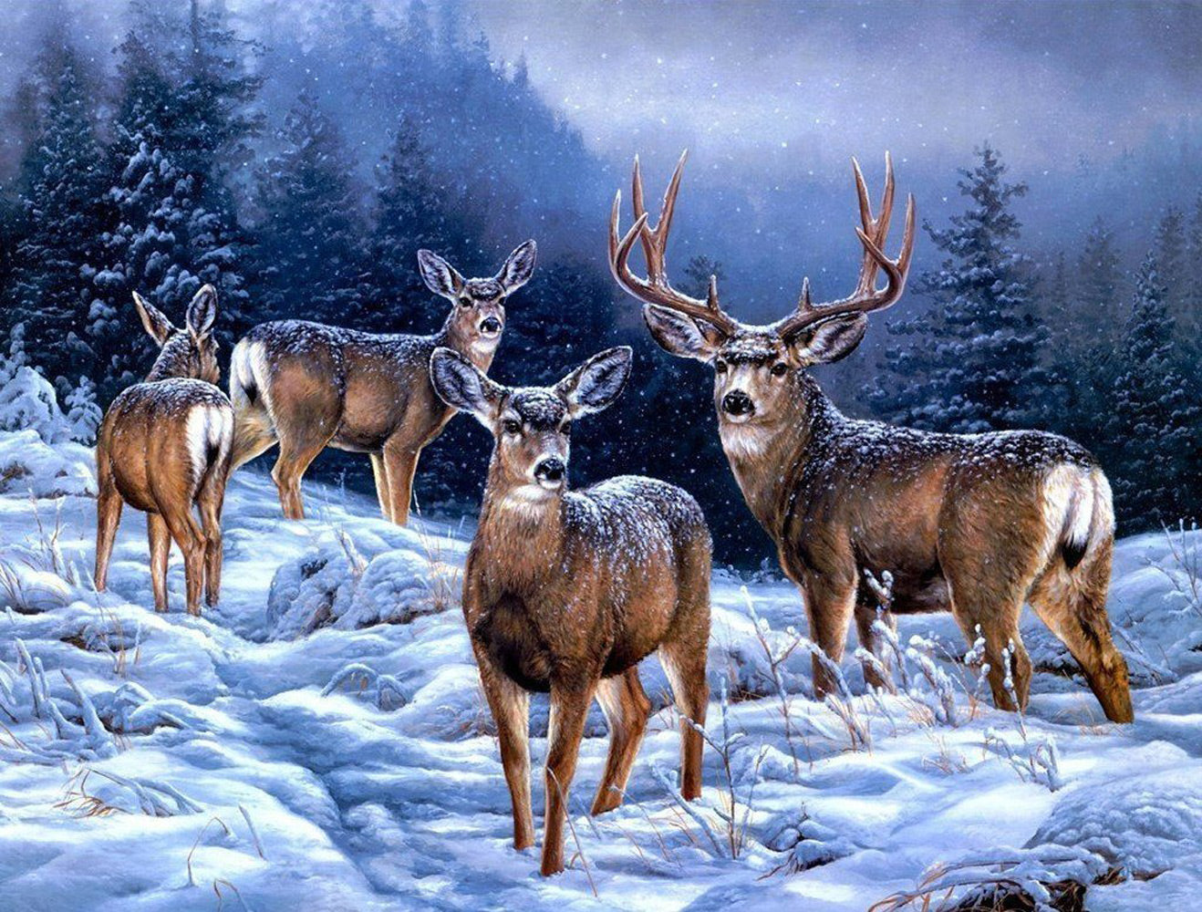 Four Deer in the Snow Diamond Painting