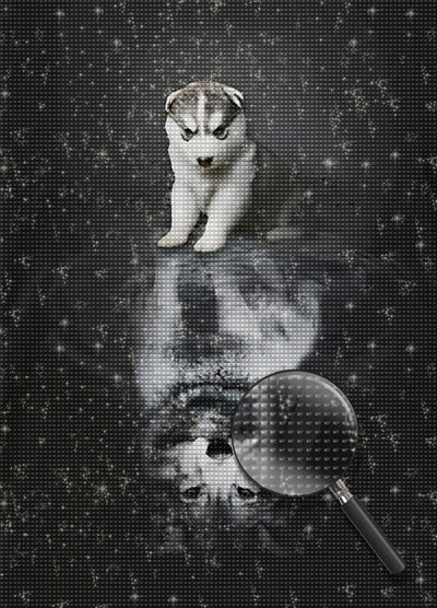 Siberian Husky Puppy and Wolf in the Reflection 5D DIY Diamond Painting Kits