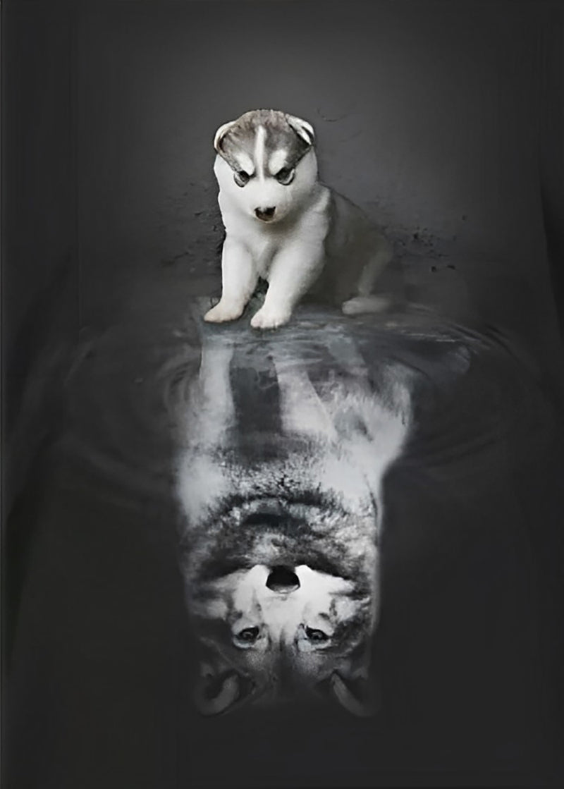 Siberian Husky Puppy and Wolf in the Reflection 5D DIY Diamond Painting Kits