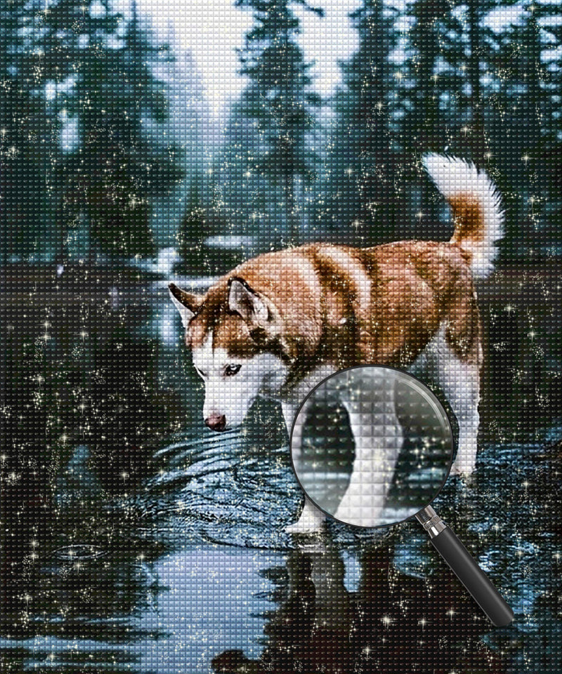 Husky Dog Having Fun Stomping in Water Diamond Painting