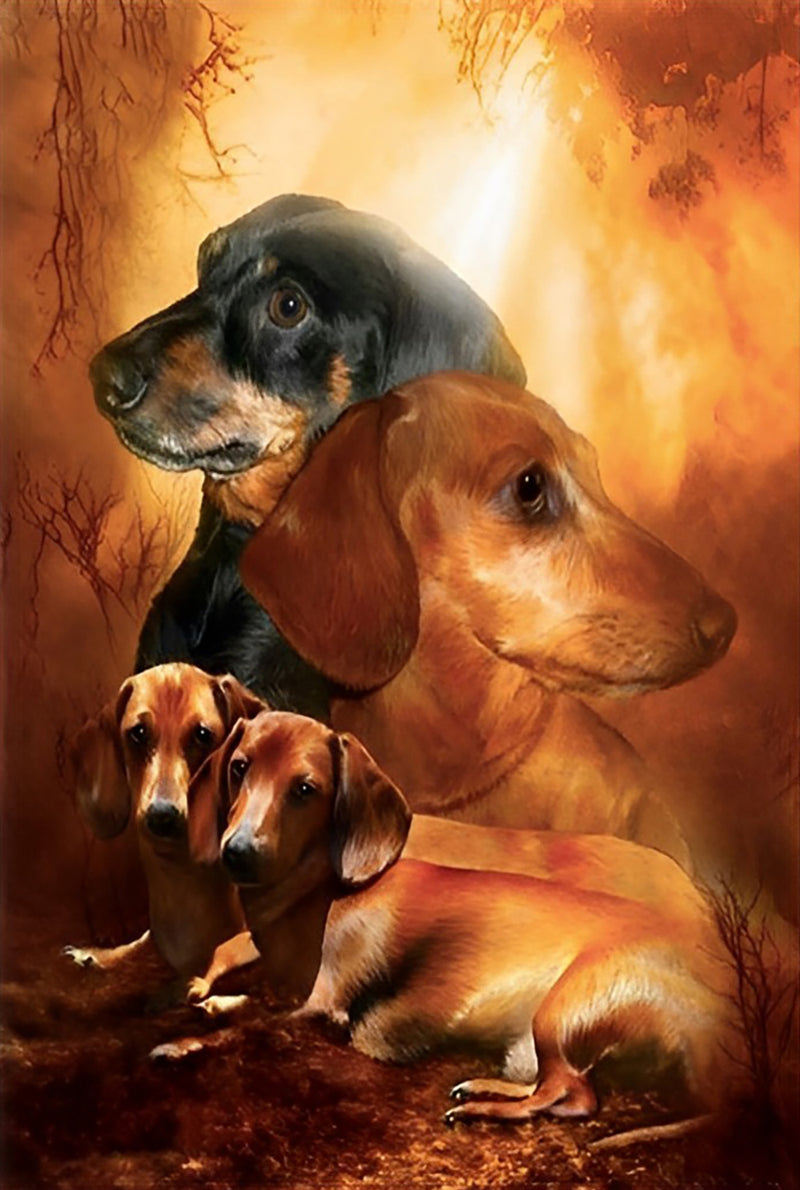 Four Dachshund Dogs Diamond Painting