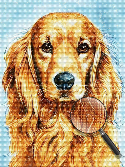 Pretty Golden Retriever  Dog Diamond Painting