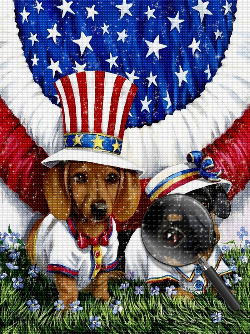 Dachshund Dogs in the United States Diamond Painting