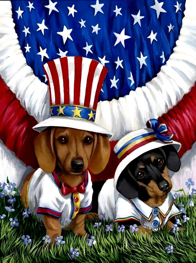 Dachshund Dogs in the United States Diamond Painting