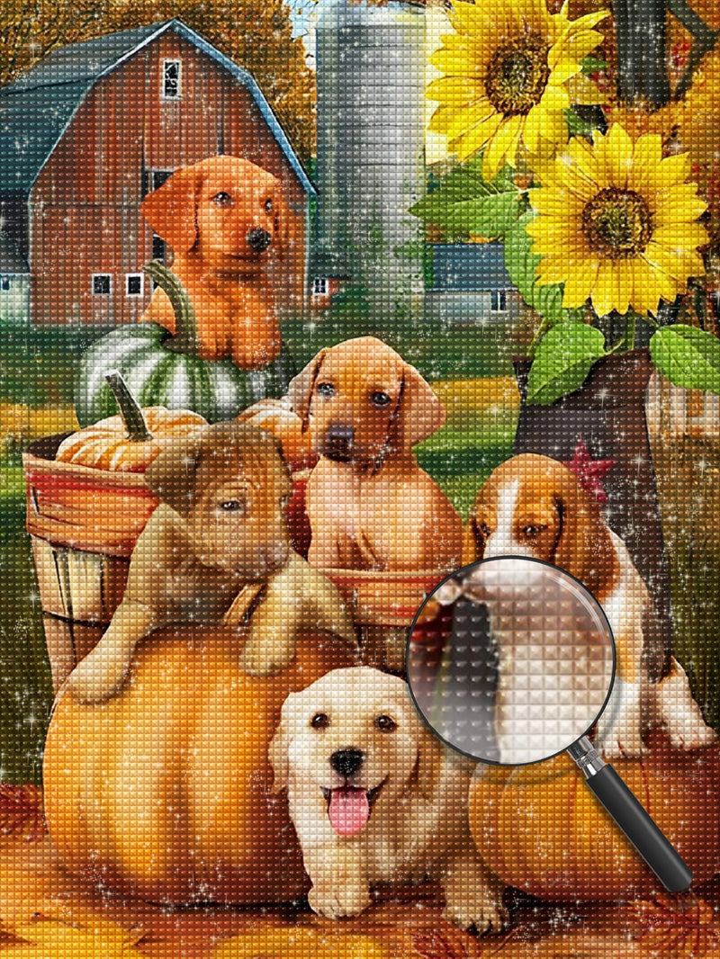 Puppies and Pumpkins Diamond Painting