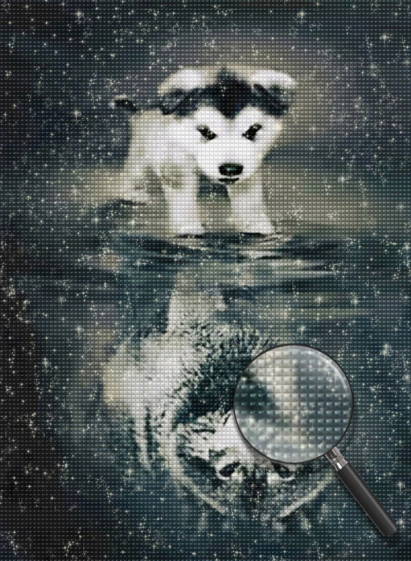 Little Husky Dog and Gray Wolf Diamond Painting