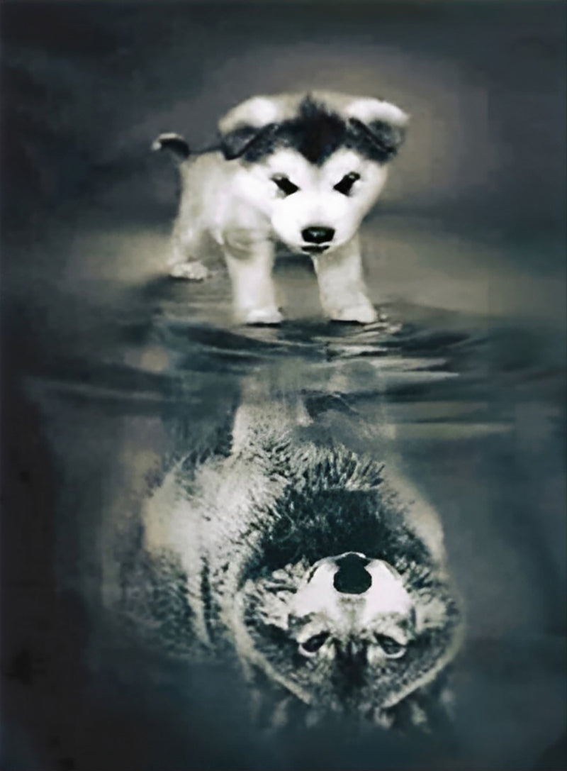 Little Husky Dog and Gray Wolf Diamond Painting