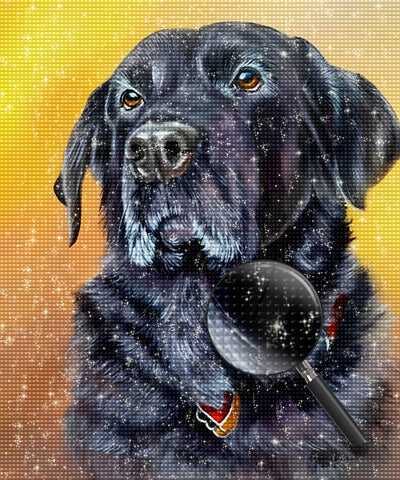 Black Long-Haired Dog Diamond Painting