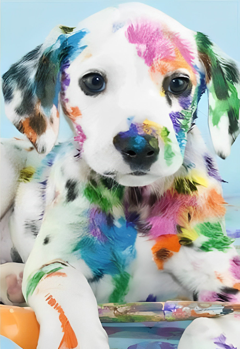 Dalmatian Puppy with Color Spots Diamond Painting